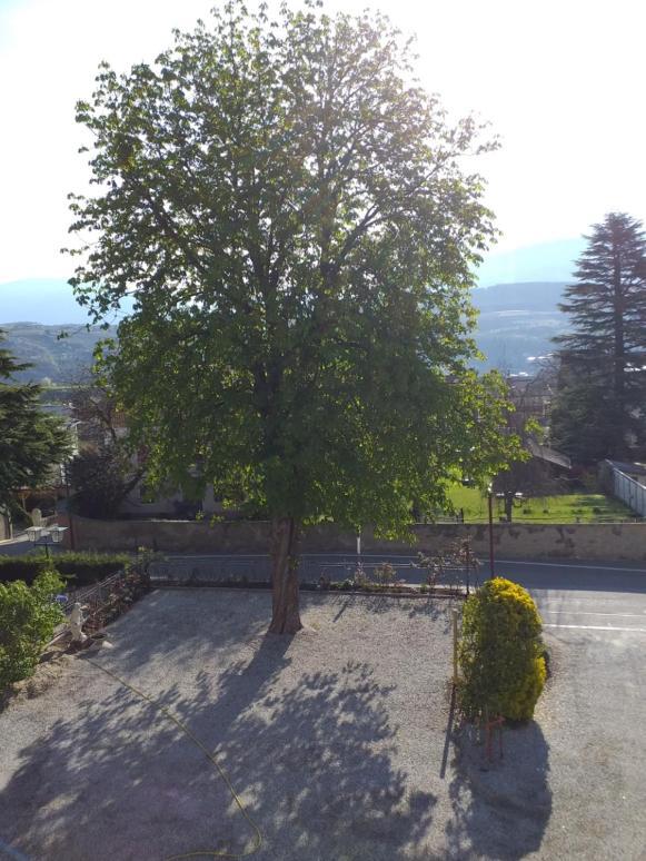 Hotel Villa Mayr Rooms&Suites Bressanone Esterno foto